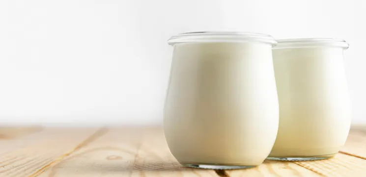 Yoghurt starter cultures