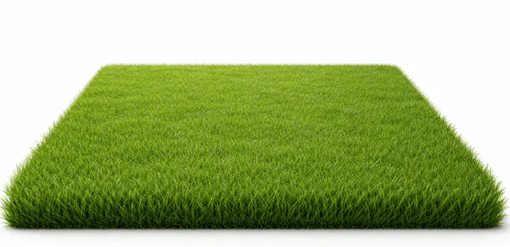 Lawn