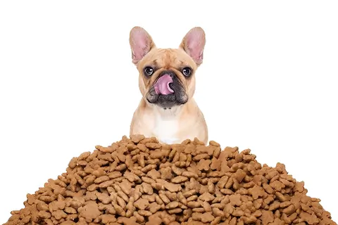 pet snacks, pet treats Prodservis