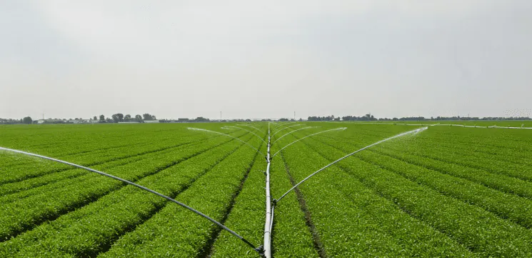 Field fertilisation system