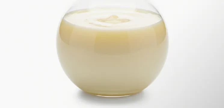 Condensed milk