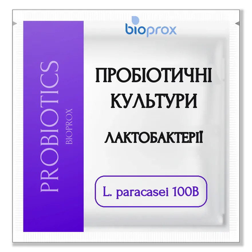 Lactobacillus paracasei