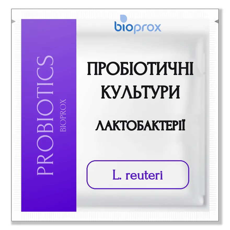 Lactobacillus reuteri