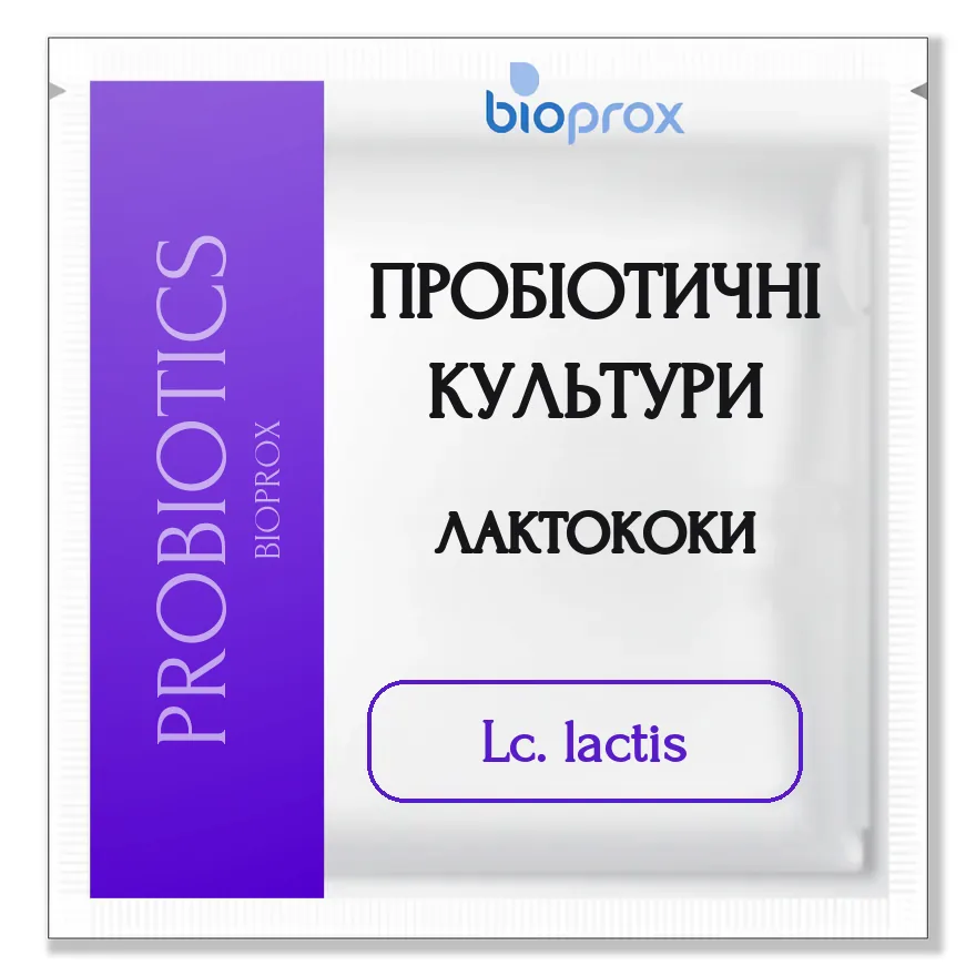 Lactococcus lactis