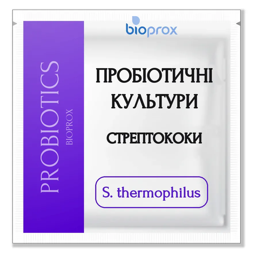 Streptococcus thermophilus