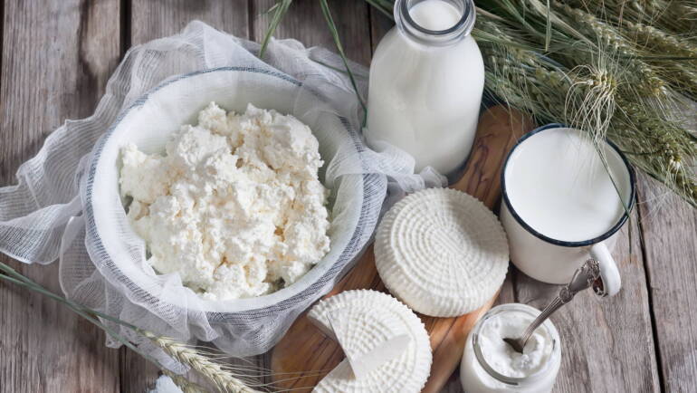 Інгредієнти для кисломолочних продуктів: Від традиційних до інноваційних Інгредієнти для кисломолочних продуктів: Від традиційних до інноваційних